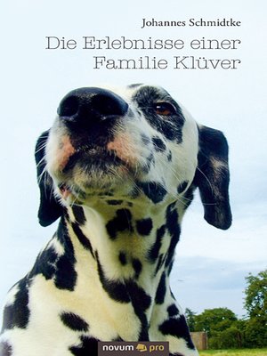 cover image of Die Erlebnisse einer Familie Klüver